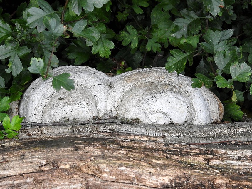 Am Boden und in der Luft