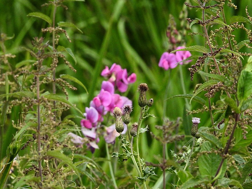 Am Boden und in der Luft