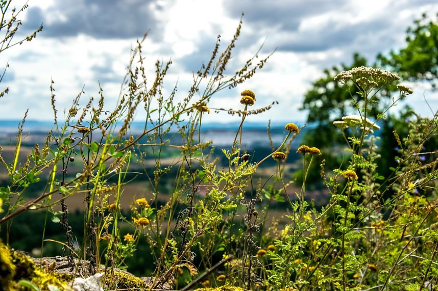 Ausflug zur Burgrunie Hohnstein