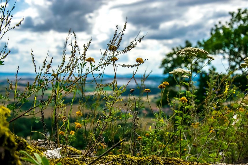 Ausflug zur Burgrunie Hohnstein