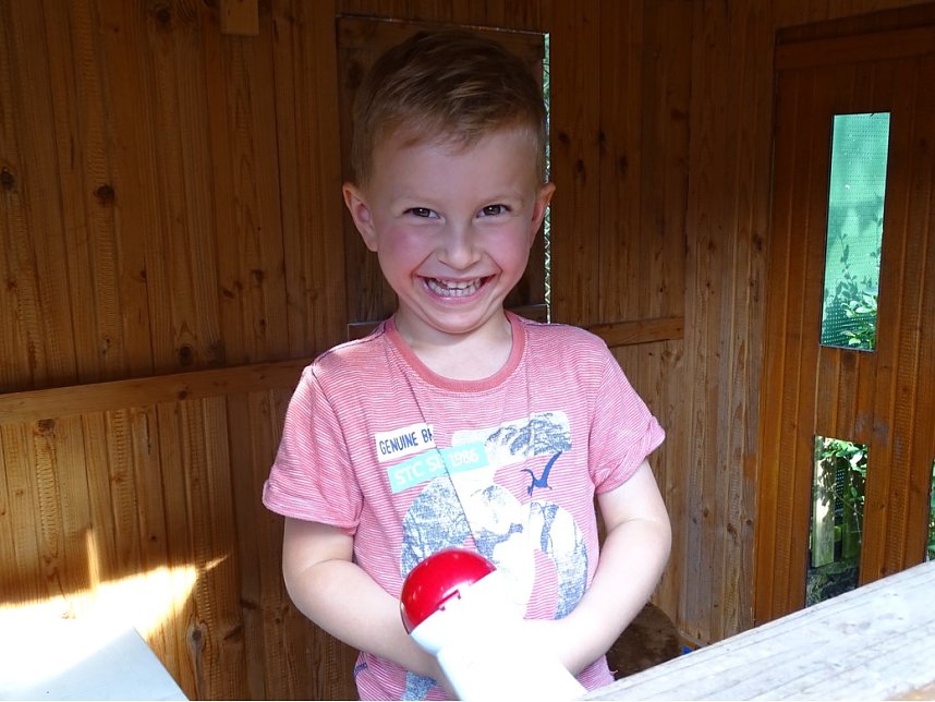 Sommerfest des Musikgartens