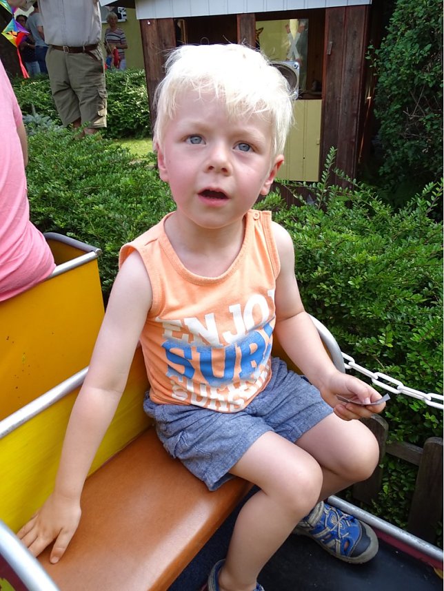 Sommerfest des Musikgartens