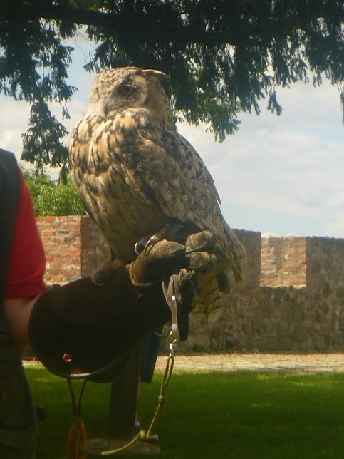 Gelebtes Mittelalter auf Burg Falkenstein