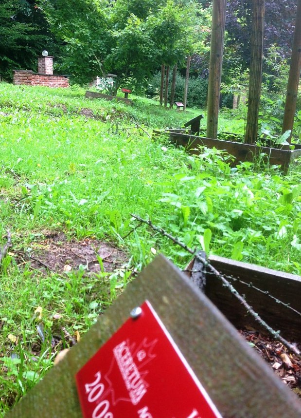 Auch im Regen sch&ouml;n: Der Ahornpark in Ilfeld