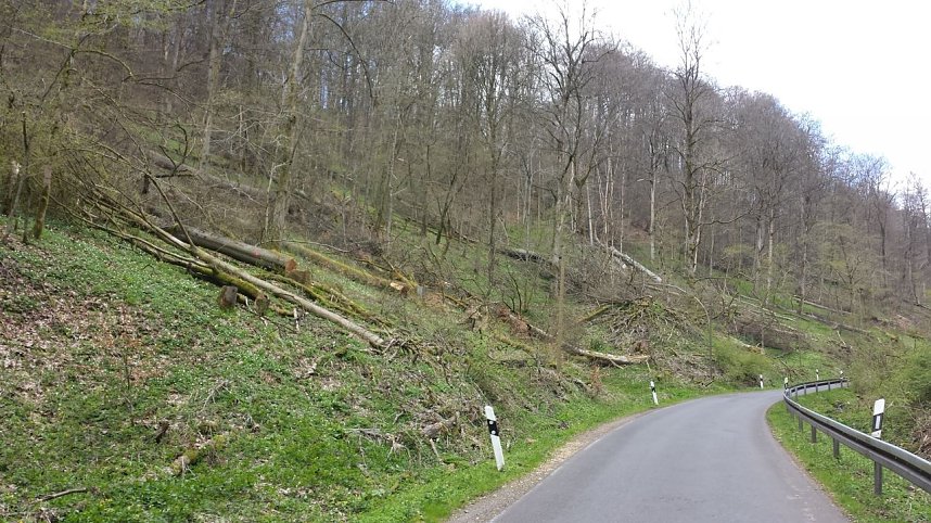 Naturschutz im Schumannstal
