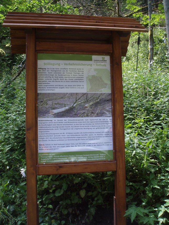 Naturschutz im Schumannstal