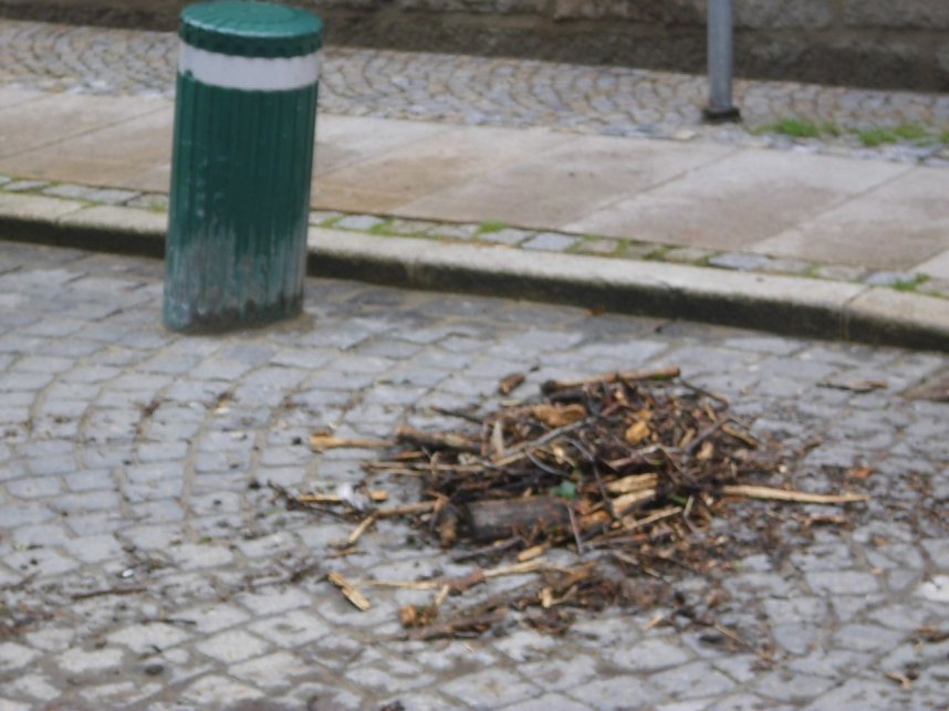 Am Mittwoch in Wernigerode