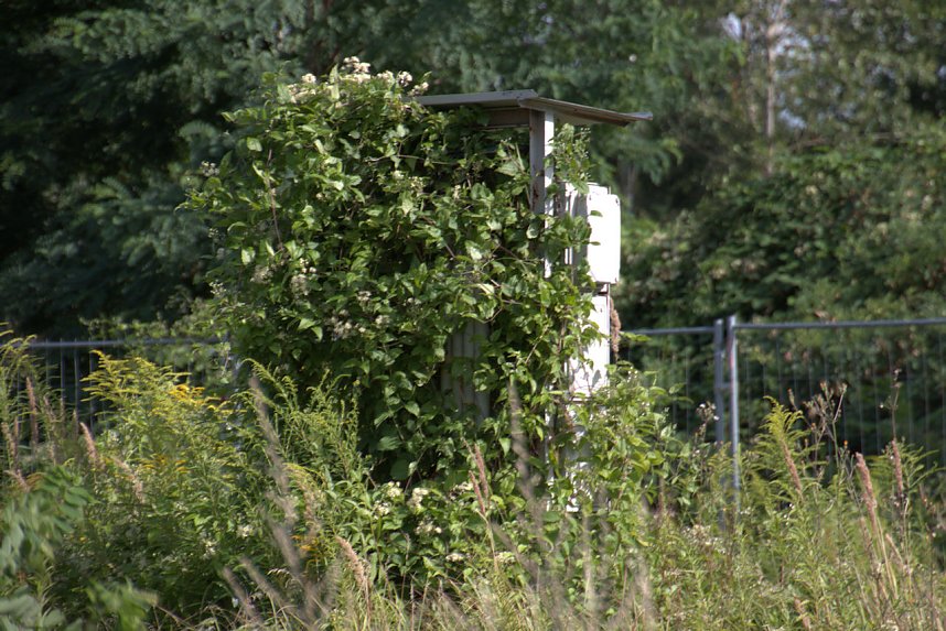 An der Piste und in der Stadt