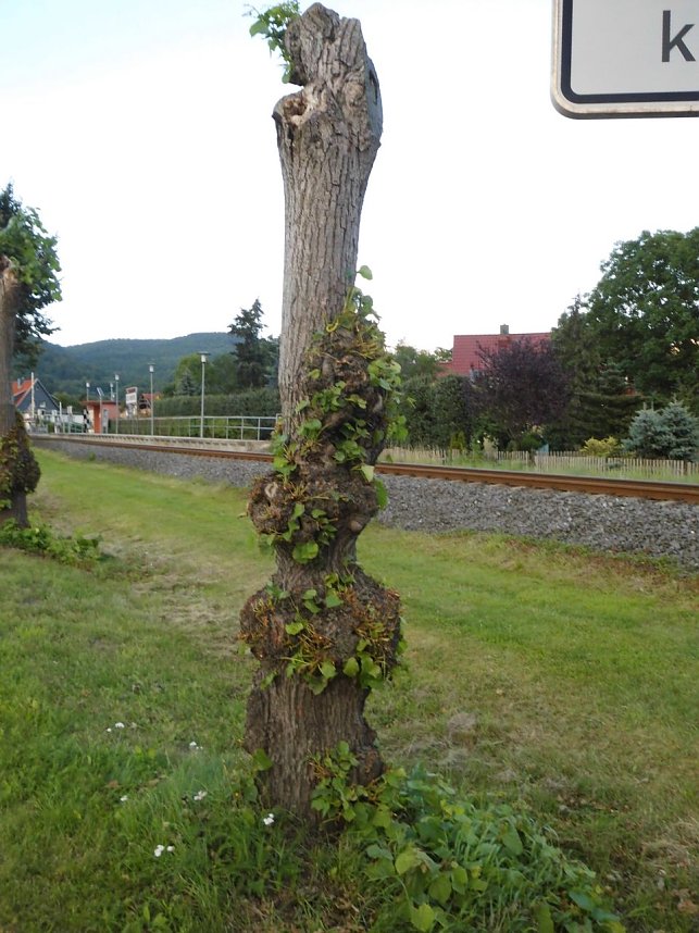 Wie soll k&uuml;nftig die B4 aussehen?