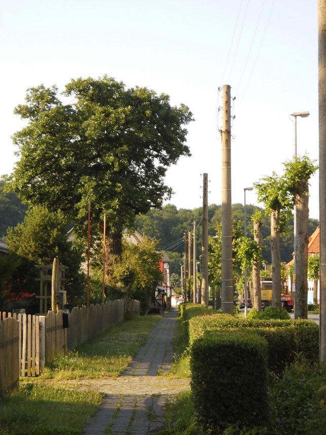 Wie soll k&uuml;nftig die B4 aussehen?