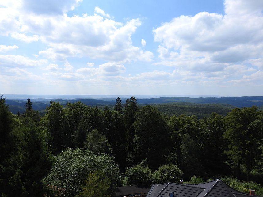 Peter Blei am Josephskreuz