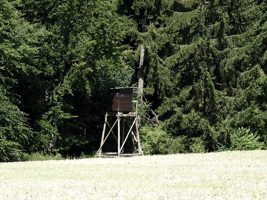 Peter Blei am Josephskreuz