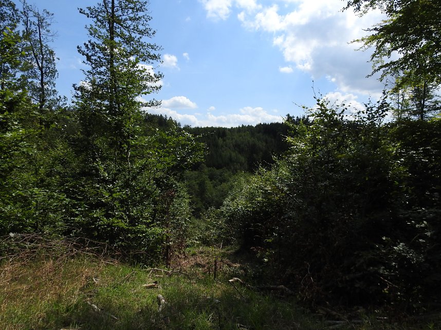 Peter Blei am Josephskreuz