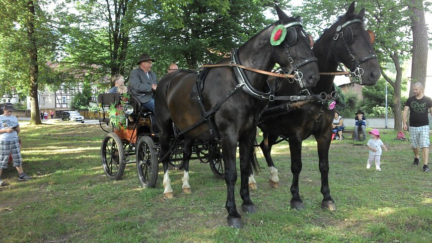 Park- und Seerosenfest in Werna