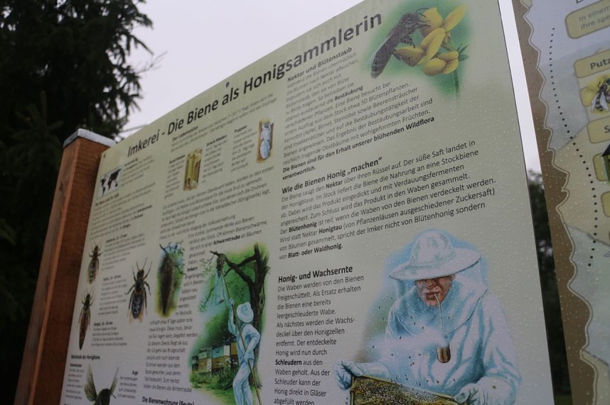 Erster Nordth&uuml;ringer Bienenlehrpfad er&ouml;ffnet