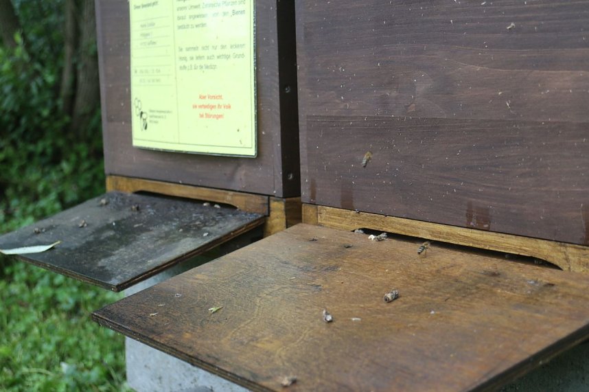 Erster Nordth&uuml;ringer Bienenlehrpfad er&ouml;ffnet