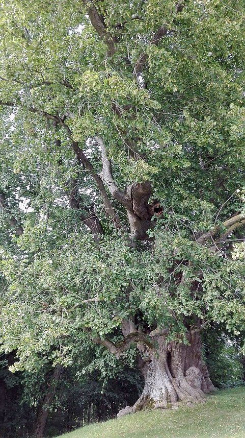 33 erwartungsvolle Mitglieder der Kirchengemeinde Blasii-Altendorf genossen letzte Woche einen gemeinsamen Ausflug in das Eichsfeld.