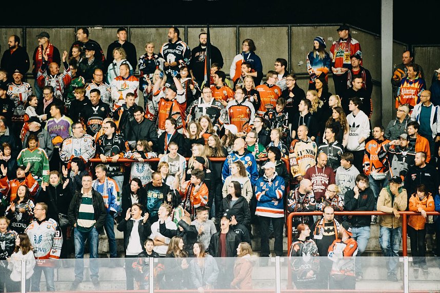 Harzer Falken schlagen sich achtbar