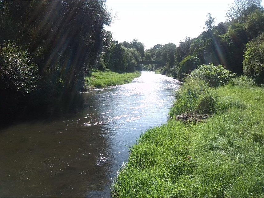 Helme, Zorge und Thyra besser sch&uuml;tzen