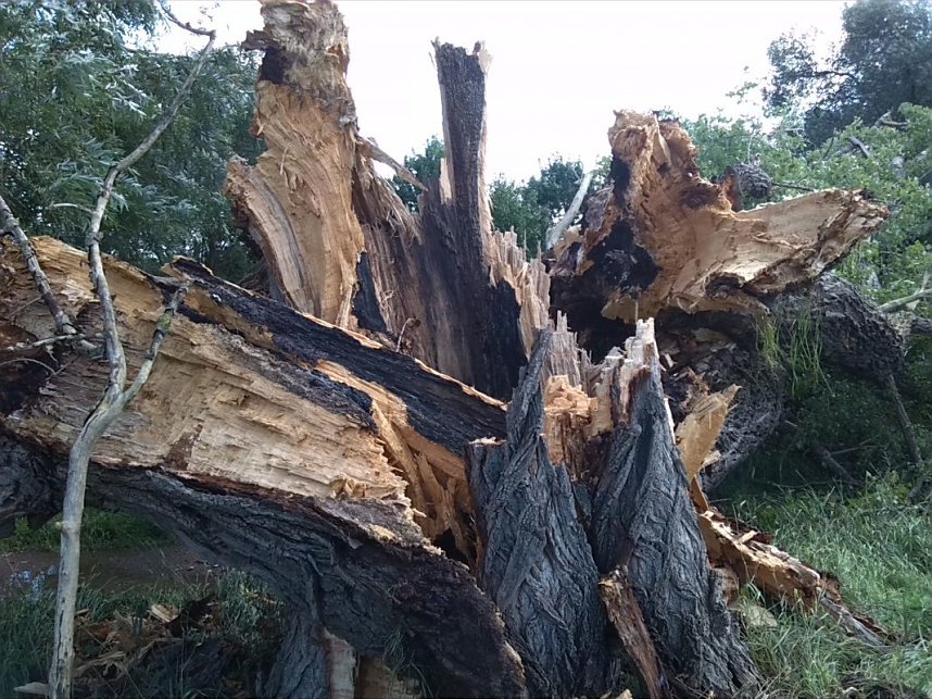 Helme, Zorge und Thyra besser sch&uuml;tzen