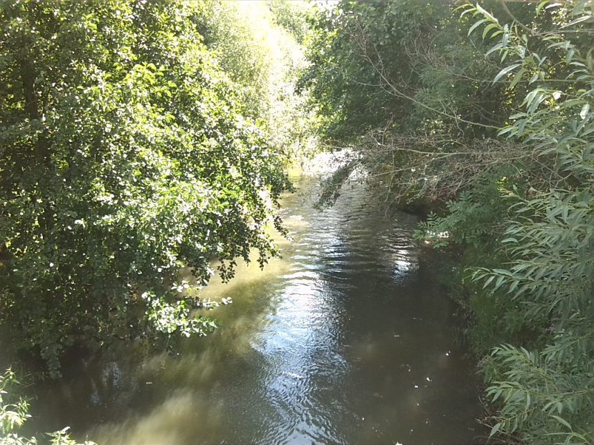 Helme, Zorge und Thyra besser sch&uuml;tzen