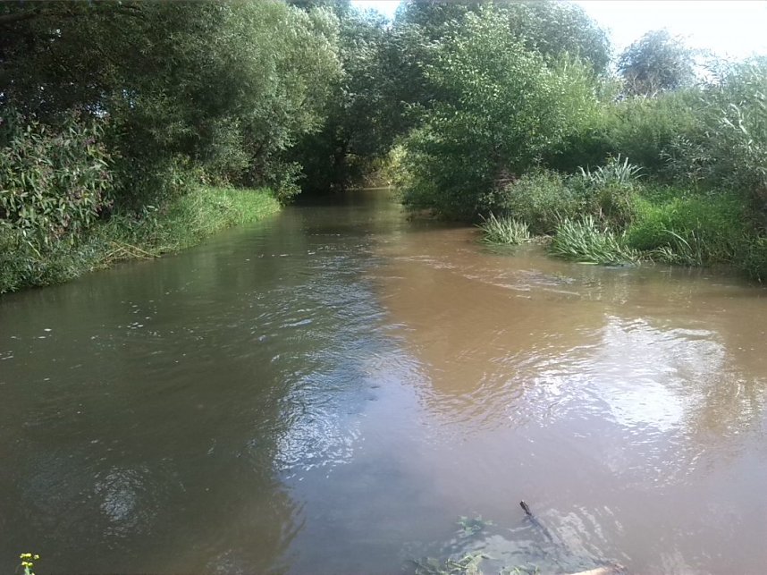 Helme, Zorge und Thyra besser sch&uuml;tzen