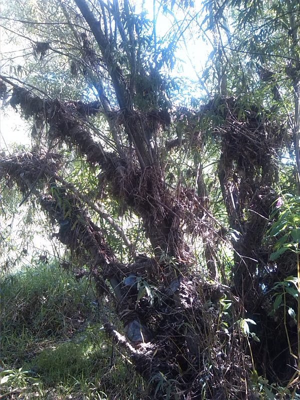 Helme, Zorge und Thyra besser sch&uuml;tzen