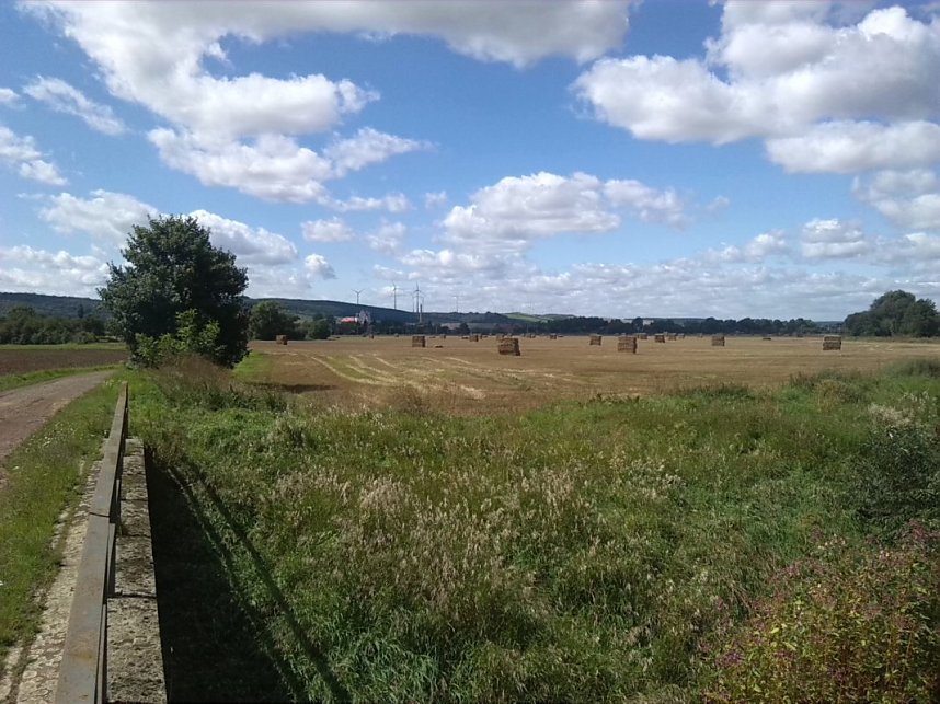 Helme, Zorge und Thyra besser sch&uuml;tzen