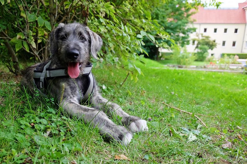 Last Minute Hochschulinfotag f&uuml;r Studieninteressierte an der Hochschule Nordhausen
