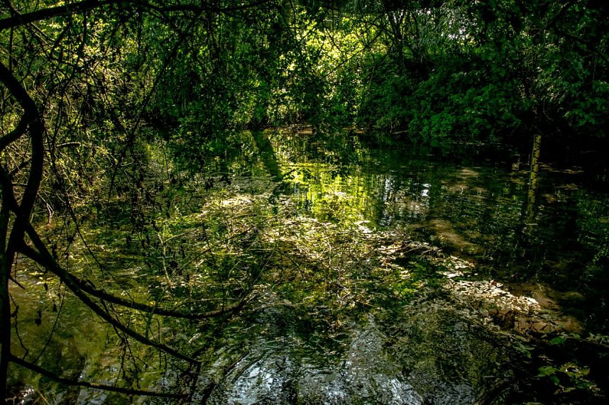 Ausflug zur Salzaquelle