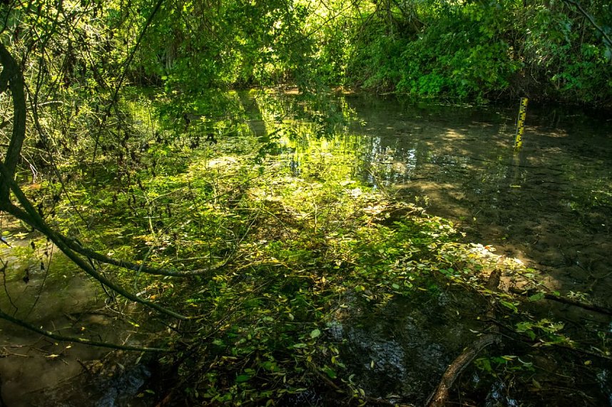 Ausflug zur Salzaquelle