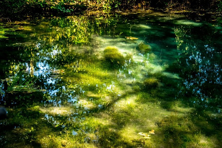 Ausflug zur Salzaquelle