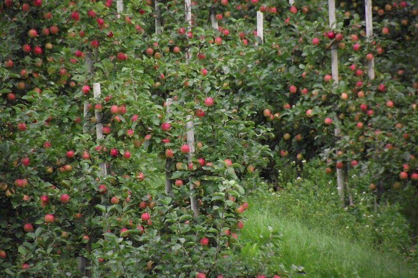 Unterwegs im Land der Trolle