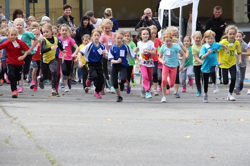 919 L&auml;uferinnen und L&auml;ufer - Neuer Rekord!