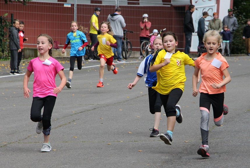 919 L&auml;uferinnen und L&auml;ufer - Neuer Rekord!