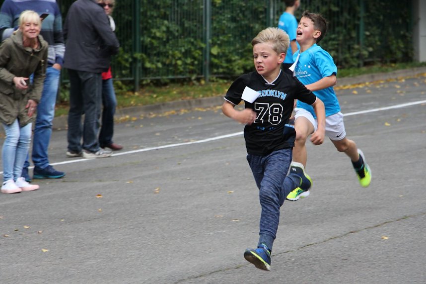 919 L&auml;uferinnen und L&auml;ufer - Neuer Rekord!