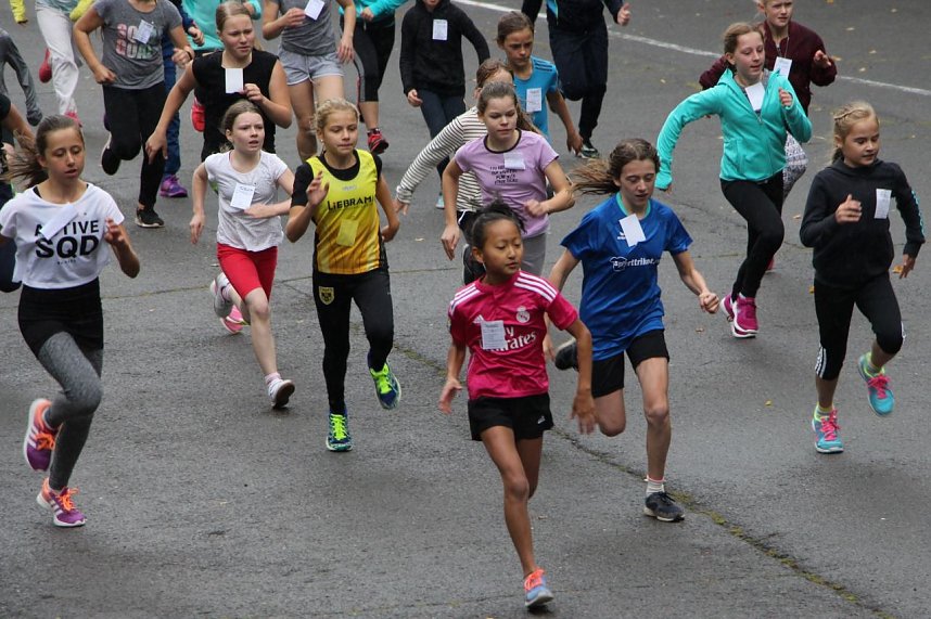 919 L&auml;uferinnen und L&auml;ufer - Neuer Rekord!