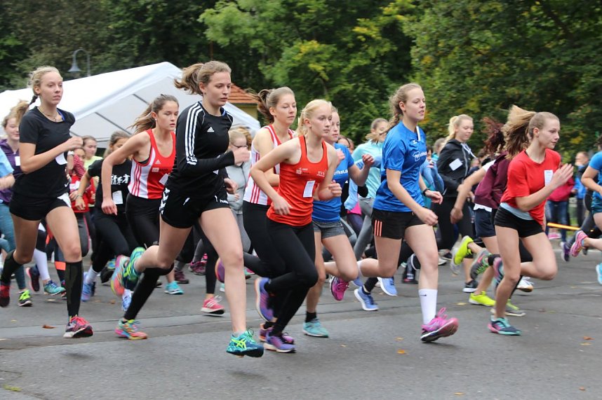 919 L&auml;uferinnen und L&auml;ufer - Neuer Rekord!