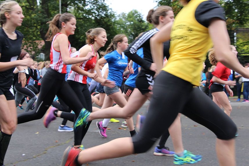 919 L&auml;uferinnen und L&auml;ufer - Neuer Rekord!