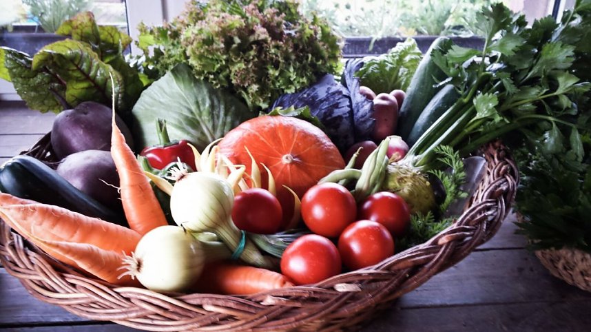 So schmeckt die Region in Guderlebens