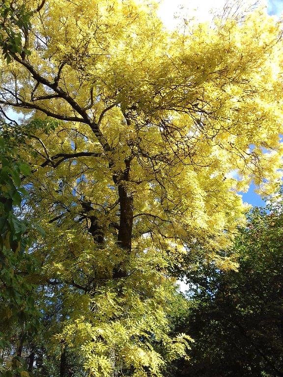 Das kann nur die Natur