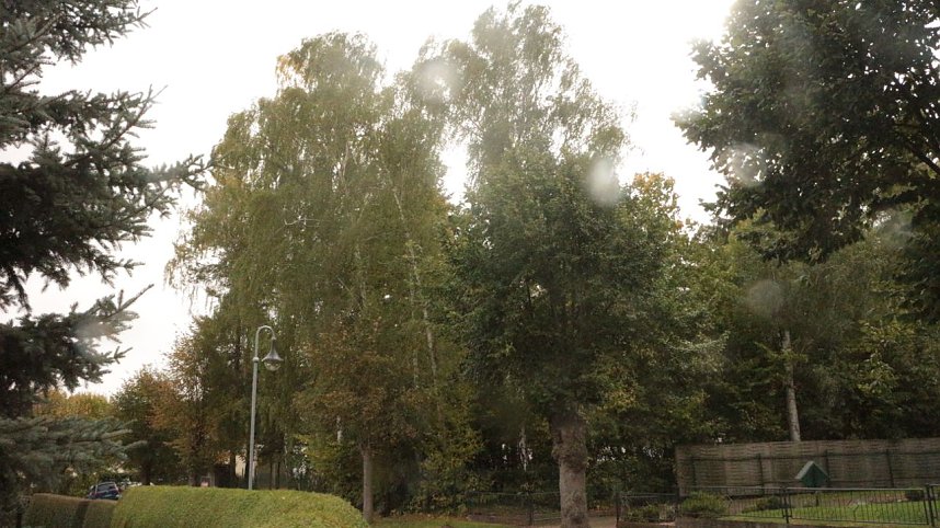 &Auml;rgernis am Bleicher&ouml;der Weidenhof