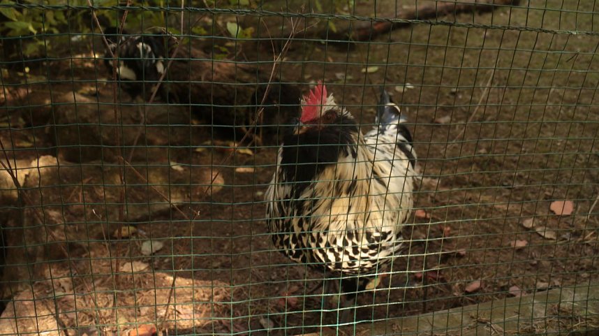 Goldener Herbst im B&auml;renpark Worbis