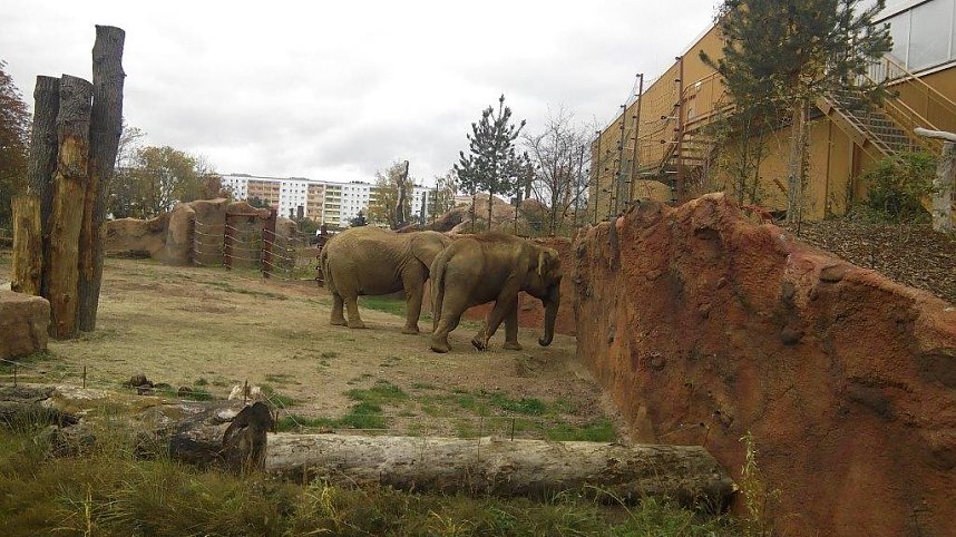 In Magdeburg unterwegs