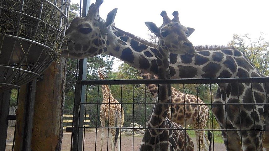 In Magdeburg unterwegs