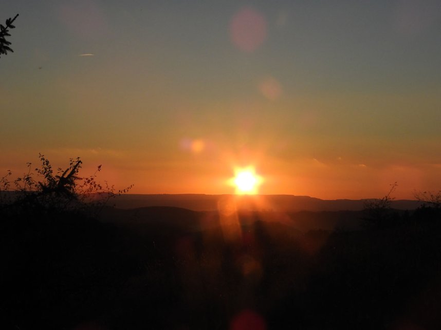 Pilze und Sonne bei Petersdorf