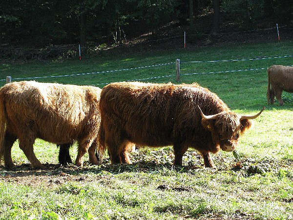 Sonntag im S&uuml;dharz