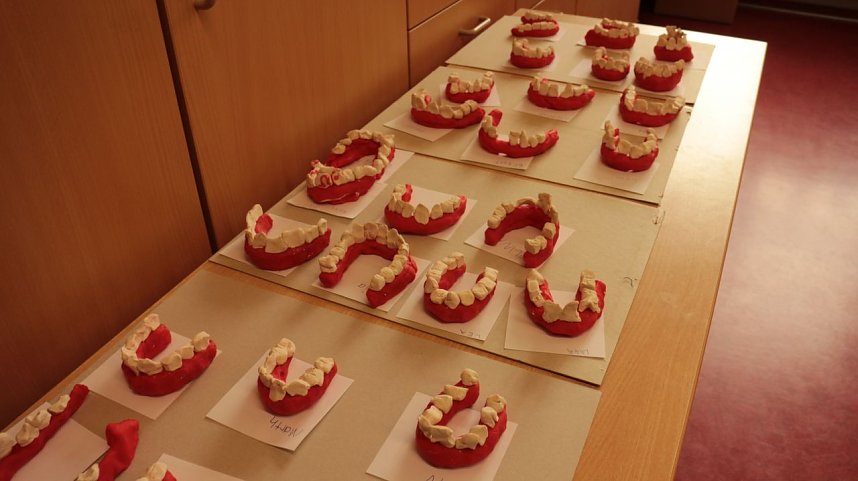 Tag der Zahngesundheit an der Grundschule Werther