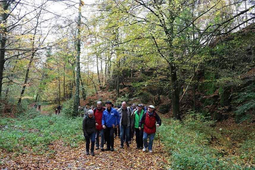 Wanderung rund um Neustadt