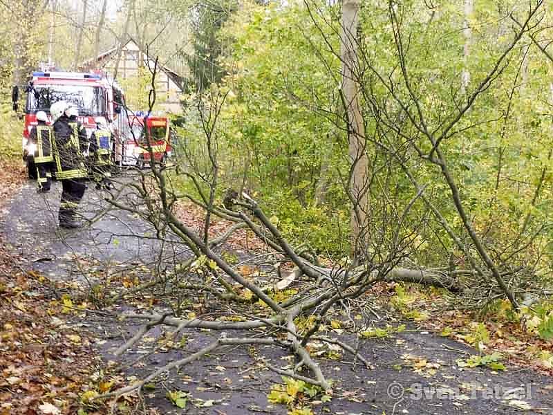 Die Spur von "Herwart"